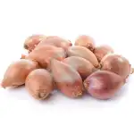 Fresh Shallots